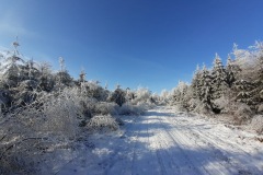 Winterlandschaft