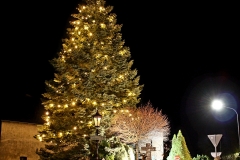 Weihnachtsbaum Kriegerdenkmal