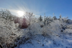 Winterlandschaft