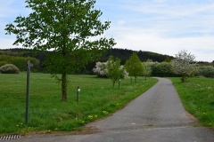Allee Elsberg