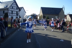 Rosenmontag 2011