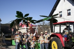 rosenmontagszug_2011_3_20110902_1475341319