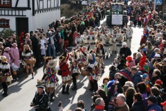 rosenmontagszug_2012_21_20120221_1575862209