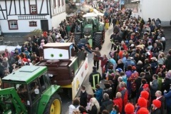 rosenmontagszug_2012_55_20120221_1532471905