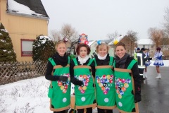 rosenmontagszug_2013_16_20130213_1874376126