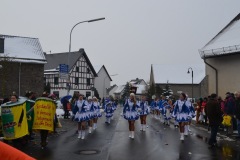 rosenmontagszug_2013_22_20130213_1158469643