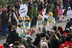 rosenmontagszug_2014_10_20140318_1455258982