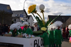 rosenmontagszug_2014_5_20140318_1926553387