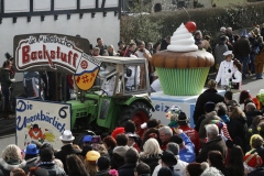 rosenmontagszug_2014_6_20140318_1249125288