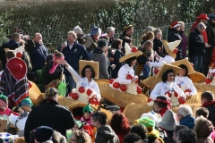 rosenmontagszug_2014_8_20140318_1538012794