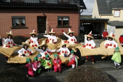 rosenmontagszug_2014_8_20140318_1694638644