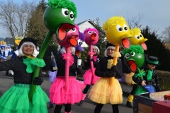 Rosenmontag 2015
