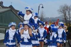 rosenmontagszug_2015_2_20150219_1622539638