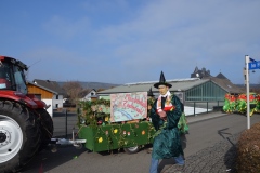 rosenmontagszug_2015_2_20150219_2096095726