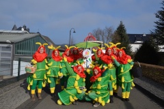 rosenmontagszug_2015_3_20150219_1521820054