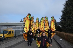 rosenmontagszug_2015_3_20150219_2090921756