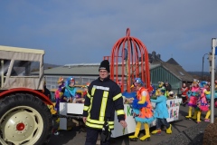 rosenmontagszug_2015_4_20150219_1421436505
