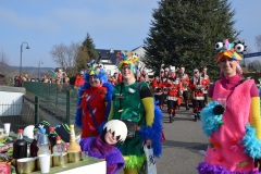 rosenmontagszug_2015_5_20150219_1611291406