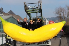rosenmontagszug_2015_7_20150219_1081038647