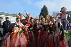 rosenmontagszug_2015_7_20150219_1448663032