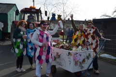rosenmontagszug_2015_8_20150219_2010169760
