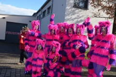 rosenmontagszug_2016_19_20160209_1313449878