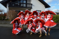 rosenmontagszug_2016_20_20160209_2070269550