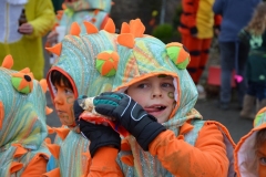rosenmontagszug_2016_45_20160209_1649083395