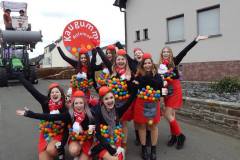 rosenmontagszug_2017_22_20170228_1783823985