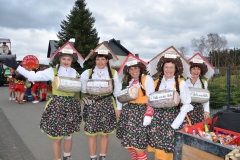 rosenmontagszug_2017_7_20170228_1431499455