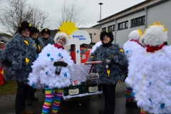 rosenmontagszug_2019_2_20190316_1606799337