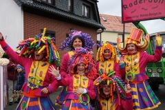 rosenmontagszug_2019_4_20190316_1824918956