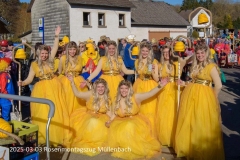 Rosenmontag 2025