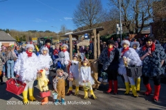 2025-03-03_rosenmontagszug-muellenbach-12.jpg