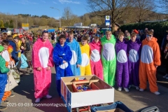 2025-03-03_rosenmontagszug-muellenbach-15.jpg