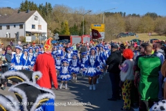 2025-03-03_rosenmontagszug-muellenbach-2.jpg