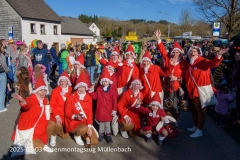 2025-03-03_rosenmontagszug-muellenbach-21.jpg