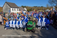 2025-03-03_rosenmontagszug-muellenbach-3.jpg